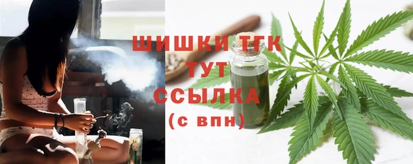 стаф Ельня