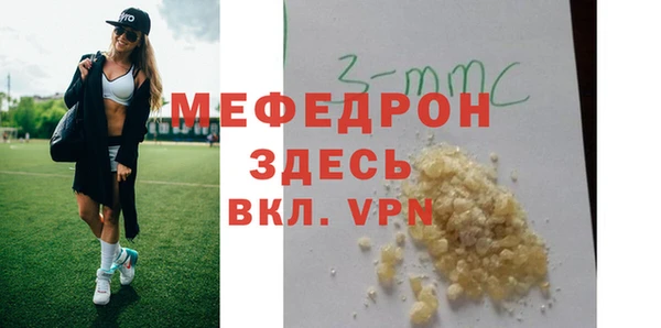 стаф Ельня