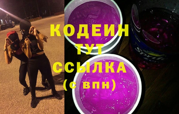 стаф Ельня
