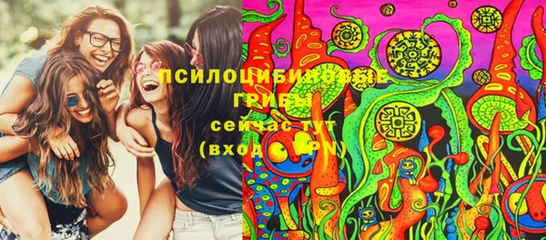 стаф Ельня