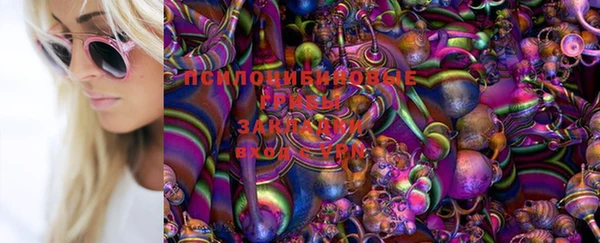 MDMA Premium VHQ Дмитров