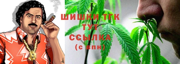 стаф Ельня