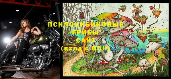 первитин Елабуга