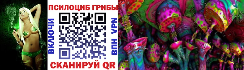 Галлюциногенные грибы Magic Shrooms  купить наркотики цена  Жердевка 